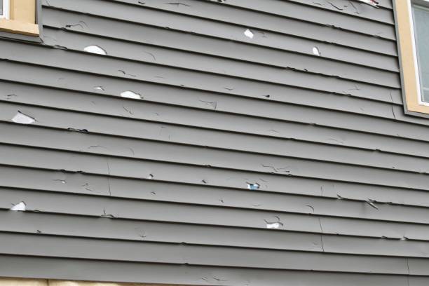 Best Siding Repair  in Ilion, NY